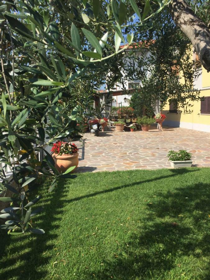 Luca'S Home In Tuscany Arena Metato Exterior foto